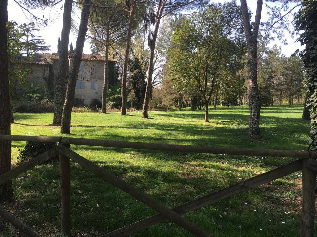 Old Town In The Green: Federico'S Apartment. Florencia Exterior foto
